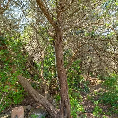 Affittasardegna-casa La Pelosa 1 בית נופש